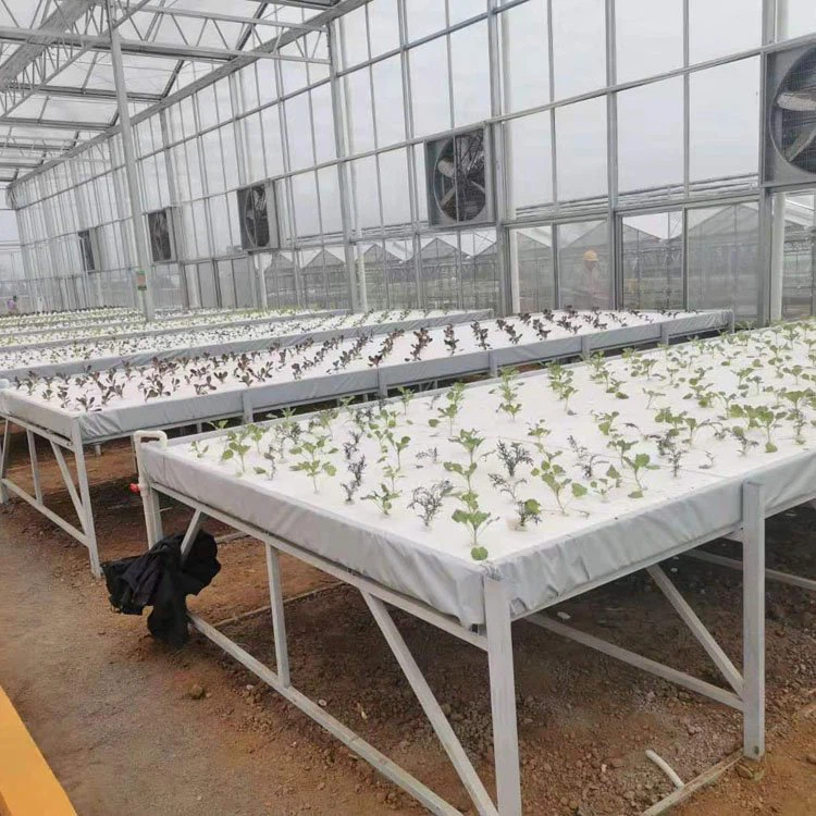 Orizontal Hydroponics
