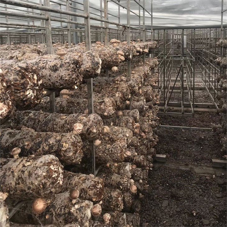 www.greenhouse-china.com