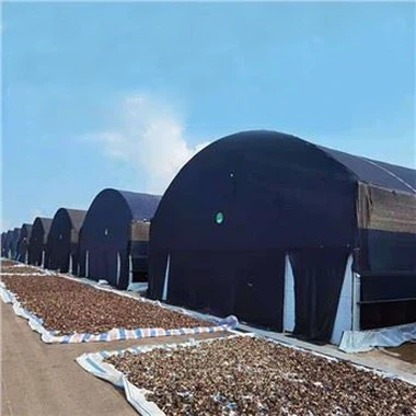 Blackout Greenhouse Pou Chanpiyon Ak Cannabis