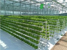 Greenhouse Legim Legim Hydroponic Plant System
