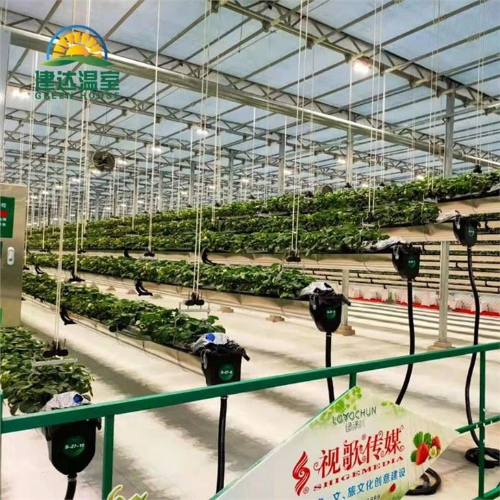 Tempered Glass Greenhouse