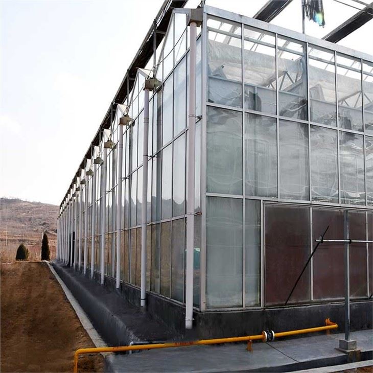 Venlo Agriculture Glass Greenhouse