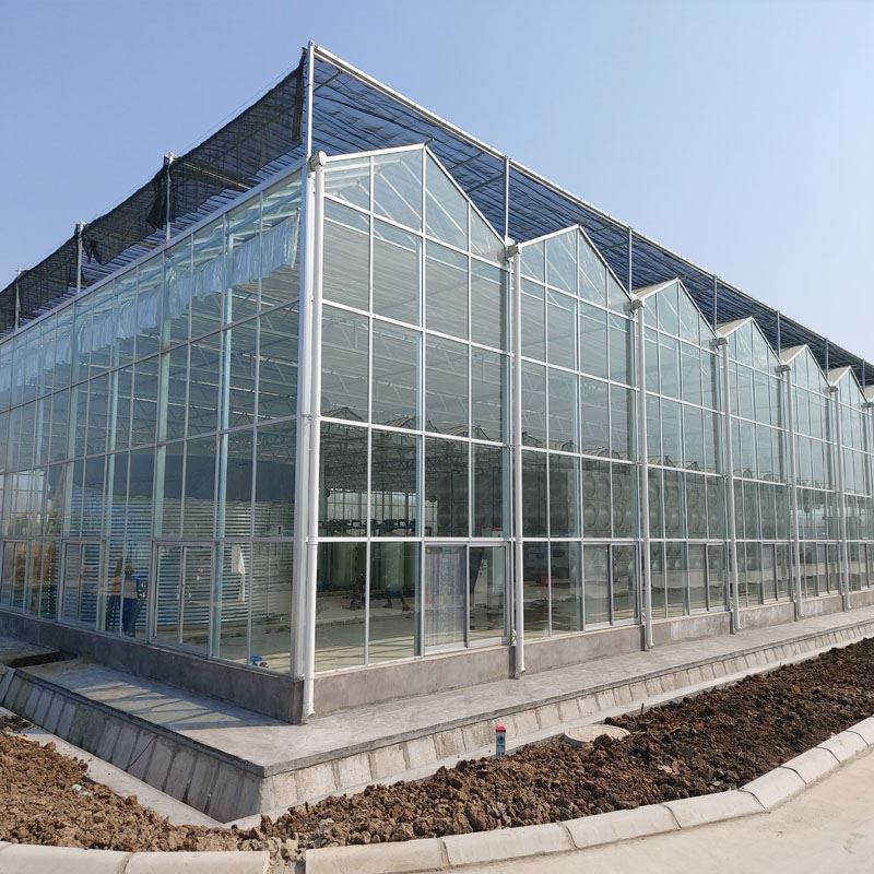 Glass Greenhouse