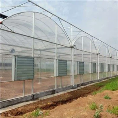 Lachin Film Greenhouse ak sistèm agrikòl