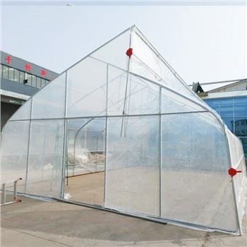 Sawtooth Greenhouse pou zòn twopikal ak sistèm vantilasyon do-kay