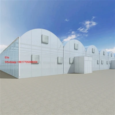Desinged Greenhouse Pou KSA