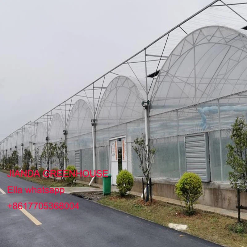 3 greenhouse price 3 greenhouse price