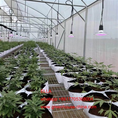 Ki jan yo kontwole tanperati substrate nan gaz la