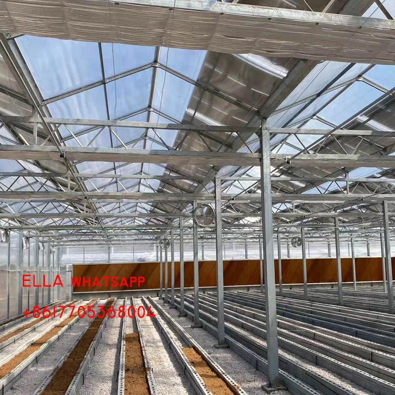 China PC greenhouse China PC greenhouse
