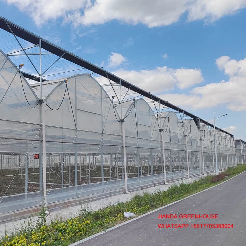 FILM GREENHOUSE 2 FILM GREENHOUSE 2